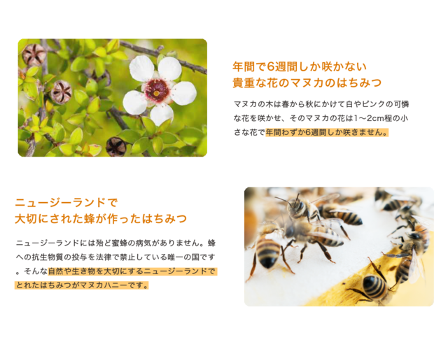 cont09.png